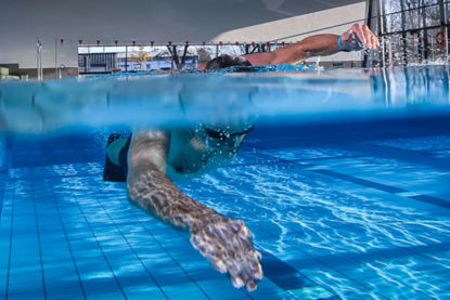 Bild von Kinderkurs „Schwimm dich fit“ (SSK) Freiberger Platz