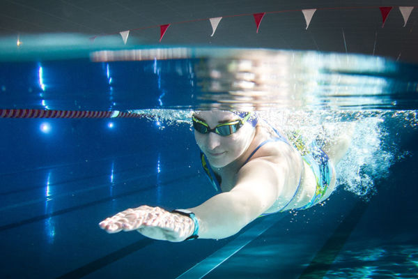 Bild von Erwachsenen-Techniklernkurs (Schwimmhalle Bühlau) 