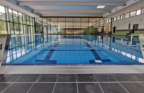 Bild von Halle Prohlis